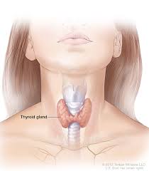 Thyroid problems